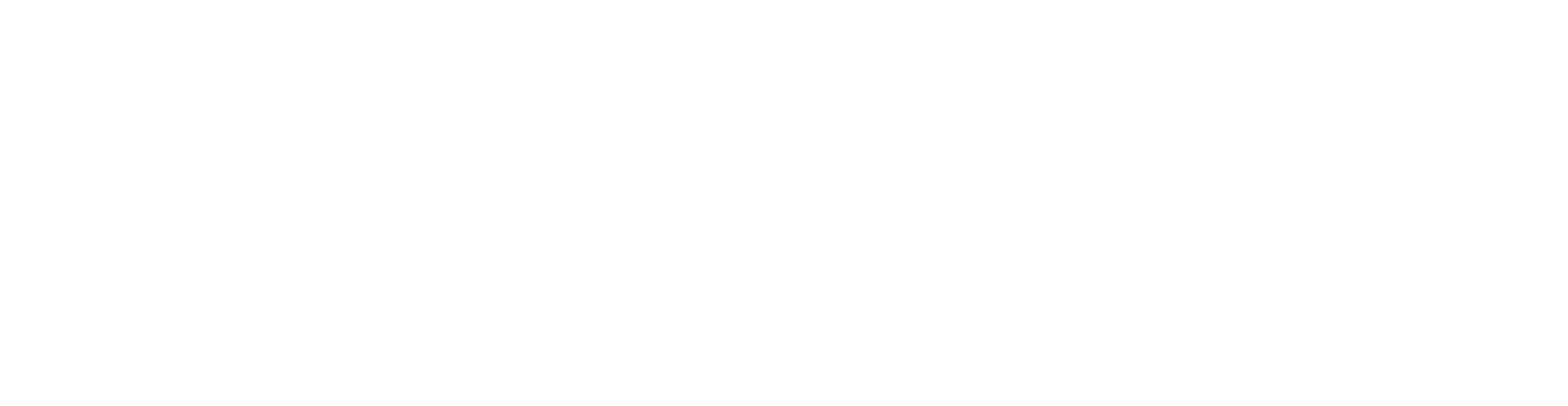 Roistom logo